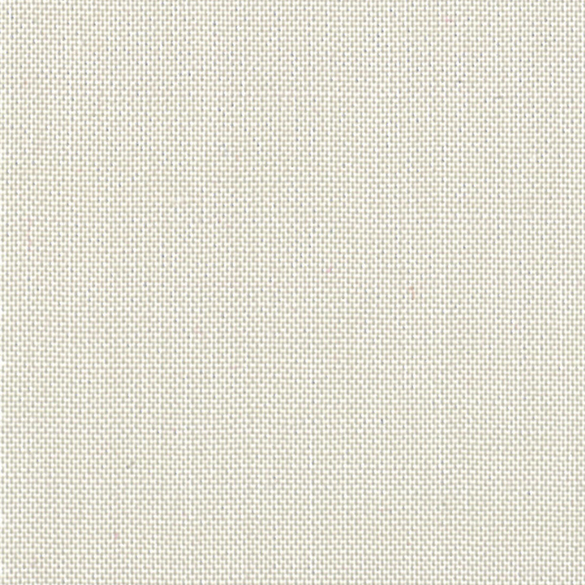 Devonstone Collection Solids - Stone Fossil