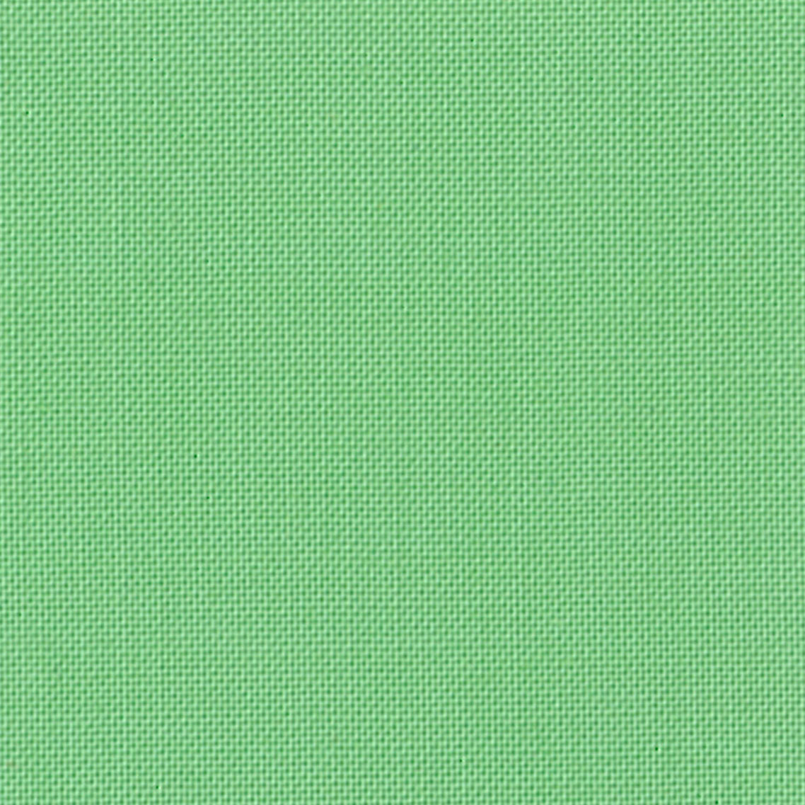 Devonstone Collection Solids in Meadow (DV155) solid quilting fabric swatch