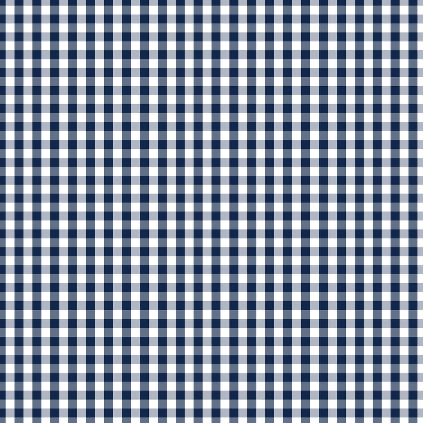 Devonstone Fundamentals 1/4" Check Gambier Blue