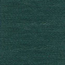 Rasant 120 Thread 1000m in Forest Green (1618)