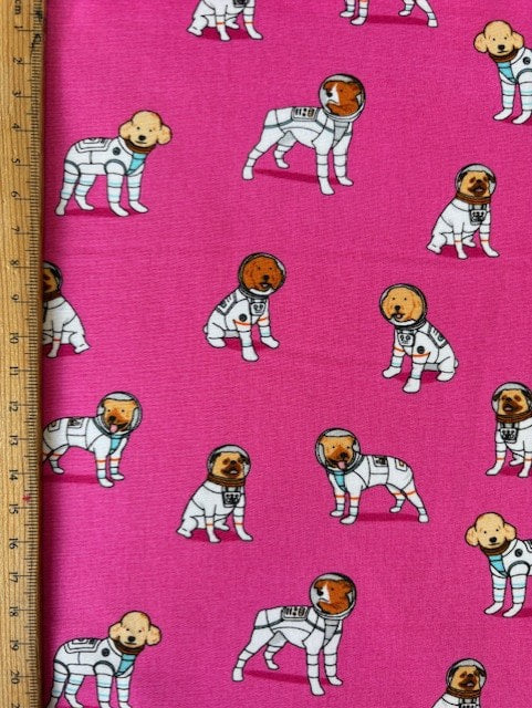 Astronaut Dogs – Sky Blue – Sevenberry (AC-YD-00355)
