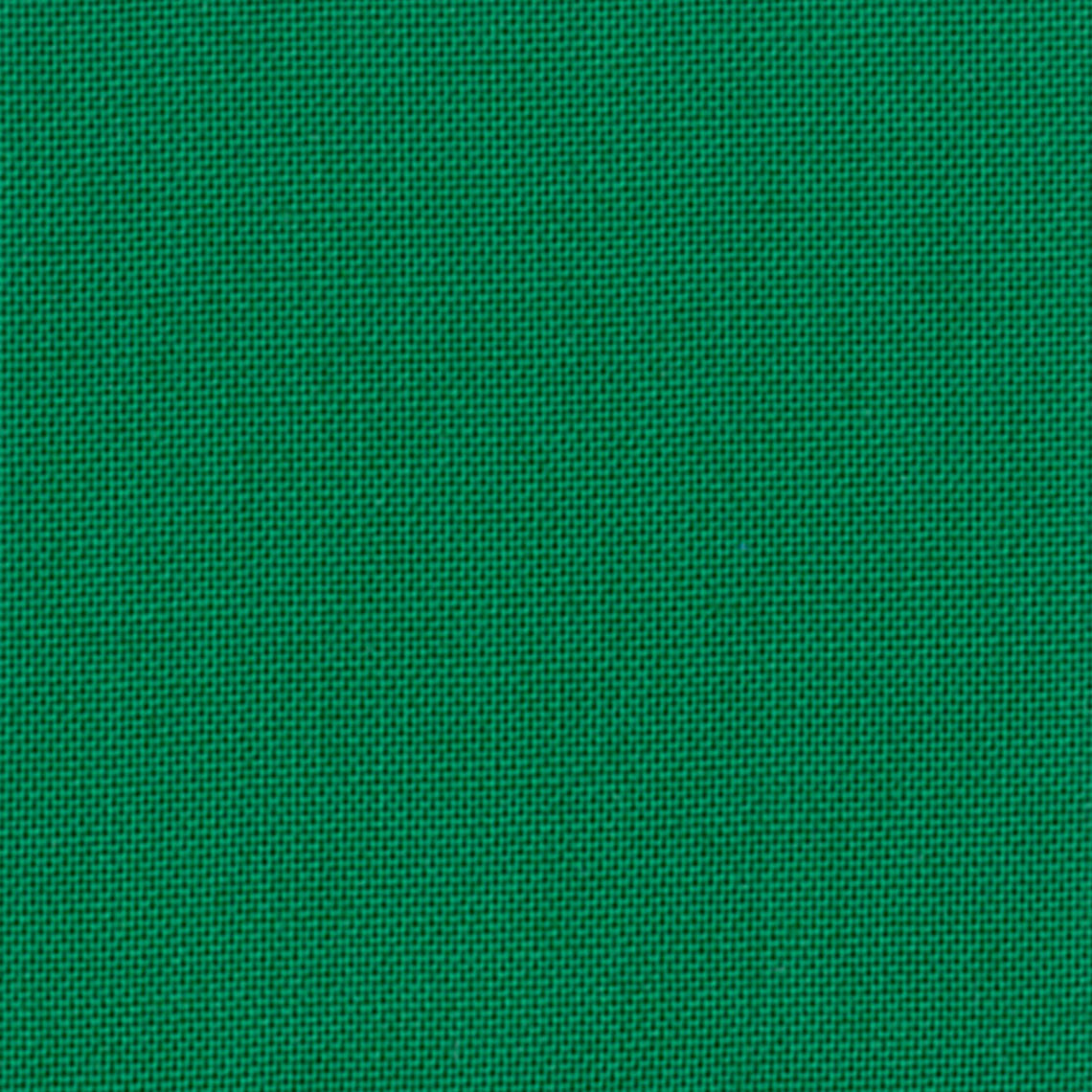 Devonstone Collection Solids in Cactus Green (DV029) solid quilting fabric swatch