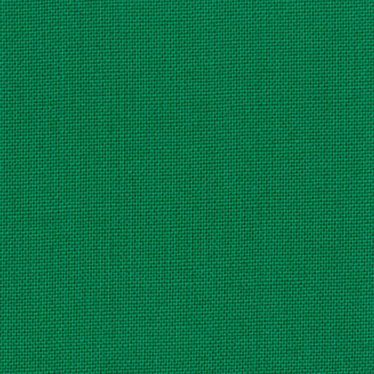Devonstone Collection Solids in Cactus Green (DV029) solid quilting fabric swatch