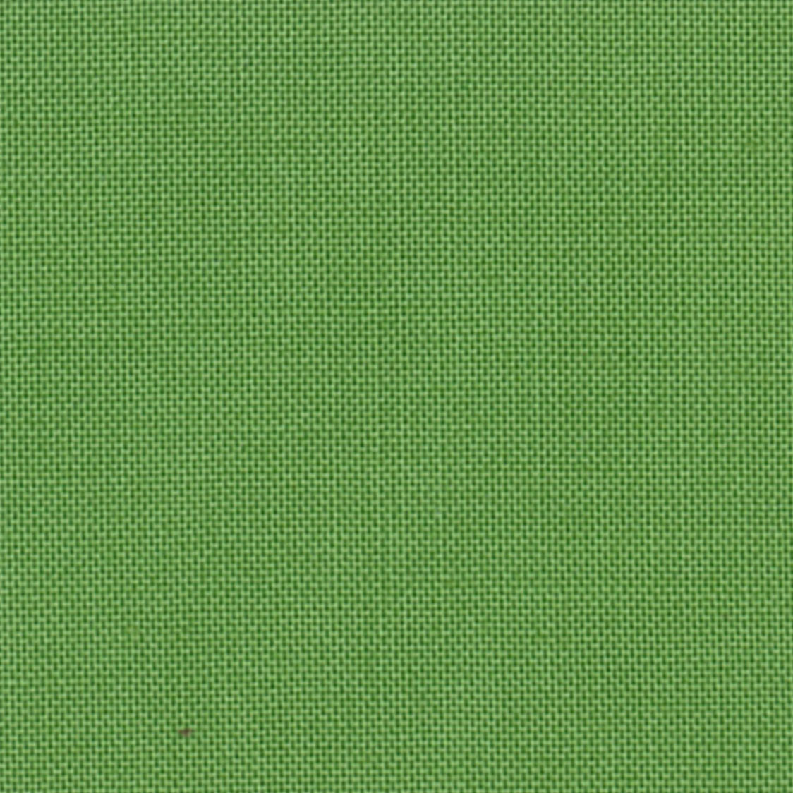 Devonstone Collection Solids - Crocodile Green