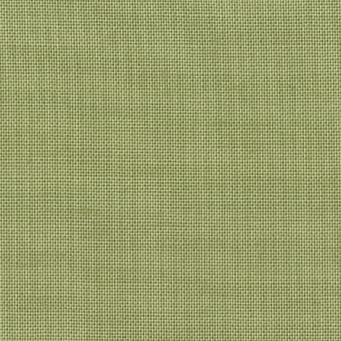 Devonstone Collection Solids in Pine Tree (DV040) solid quilting fabric swatch