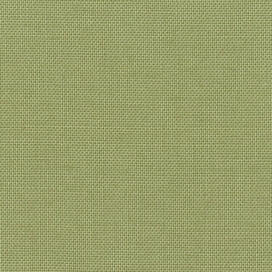 Devonstone Collection Solids in Pine Tree (DV040) solid quilting fabric swatch