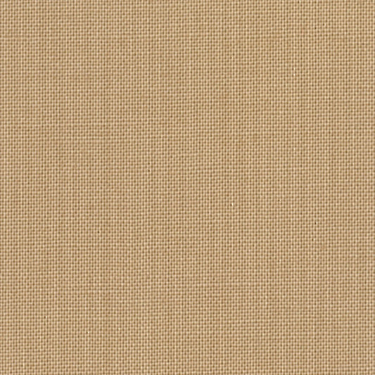 Devonstone Collection Solids in Mocha (DV045) solid quilting fabric swatch