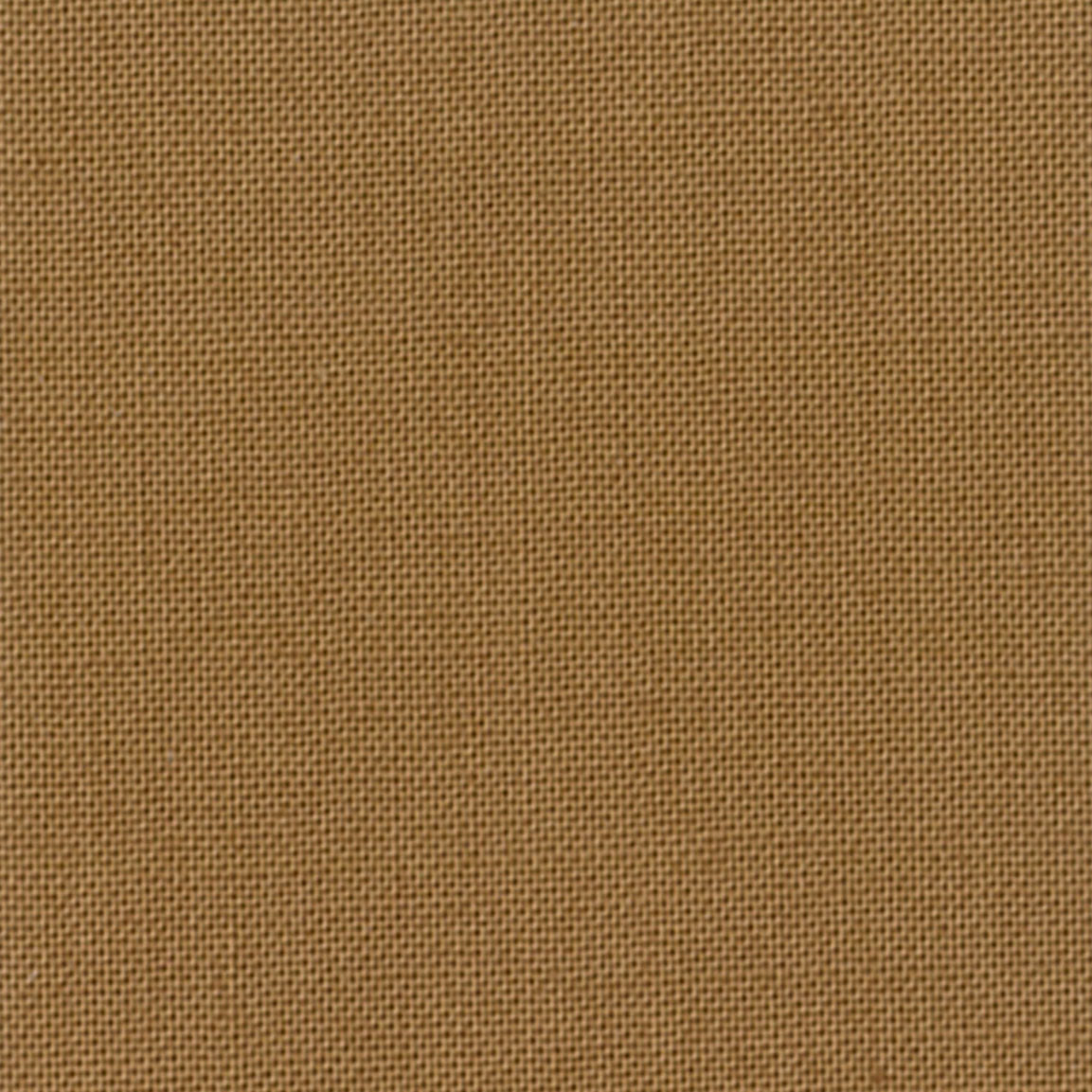 Devonstone Collection Solids in Snag (DV057) solid quilting fabric swatch