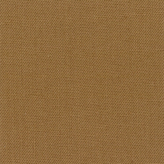 Devonstone Collection Solids in Snag (DV057) solid quilting fabric swatch