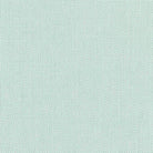 Devonstone Collection Solids in Sea Salt (DV096) solid quilting fabric swatch