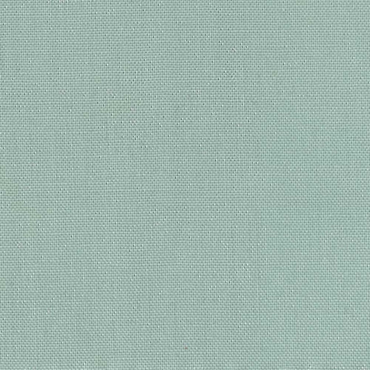 Devonstone Collection Solids in Swag (DV098) solid quilting fabric swatch