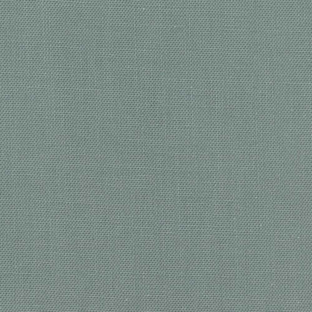 Devonstone Collection Solids in Unleaded (DV130) solid quilting fabric swatch