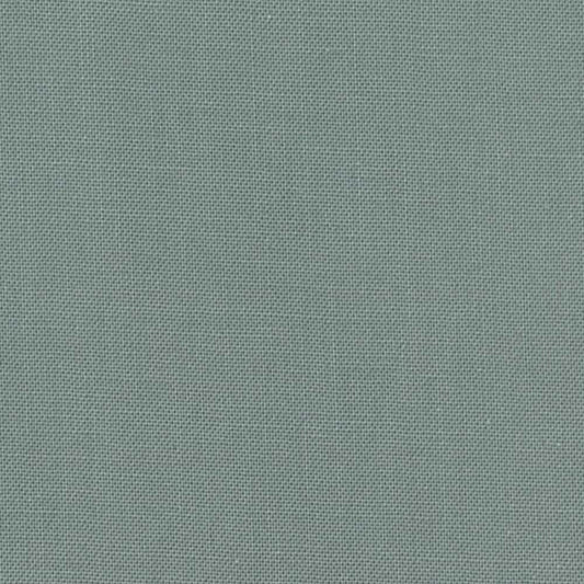 Devonstone Collection Solids in Unleaded (DV130) solid quilting fabric swatch