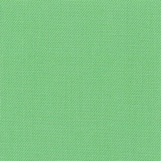 Devonstone Collection Solids in Meadow (DV155) solid quilting fabric swatch
