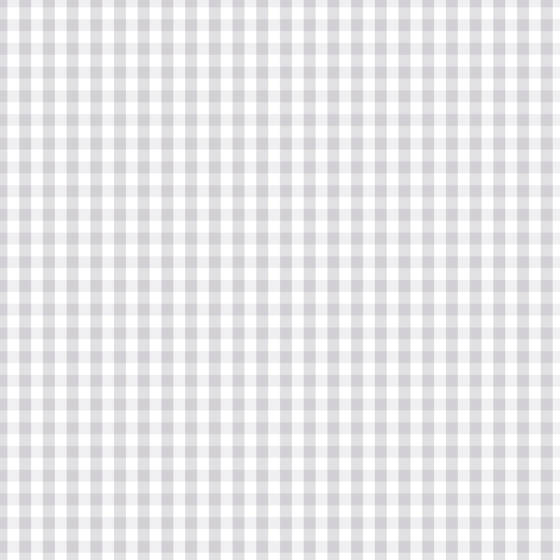 Devonstone Fundamentals 1/4" Check blender in Silver Gum (DV2834) fabric swatch