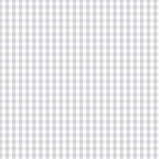 Devonstone Fundamentals 1/4" Check blender in Silver Gum (DV2834) fabric swatch