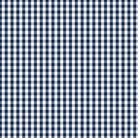 Devonstone Fundamentals 1/4" Check Gambier Blue