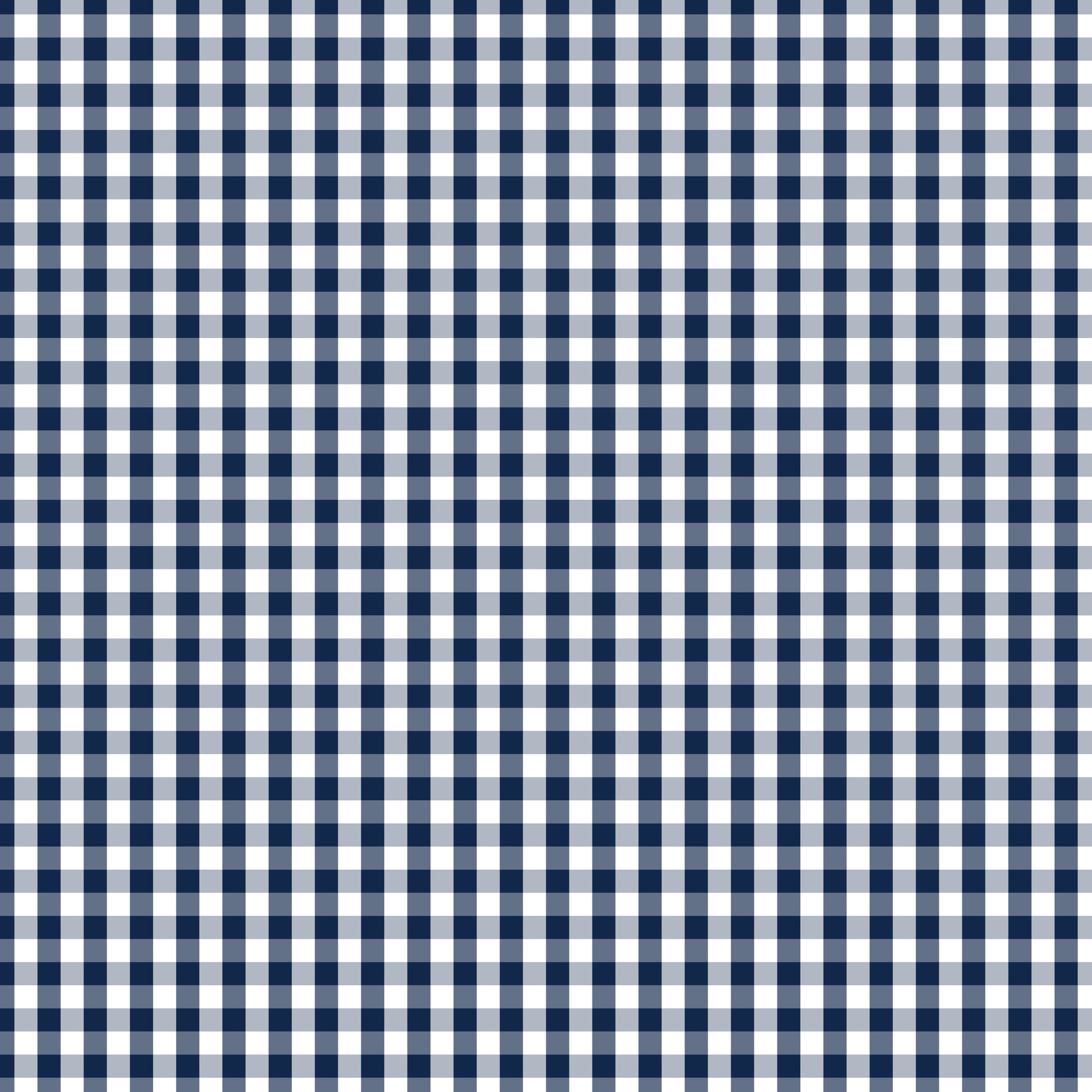 Devonstone Fundamentals 1/4" Check Gambier Blue