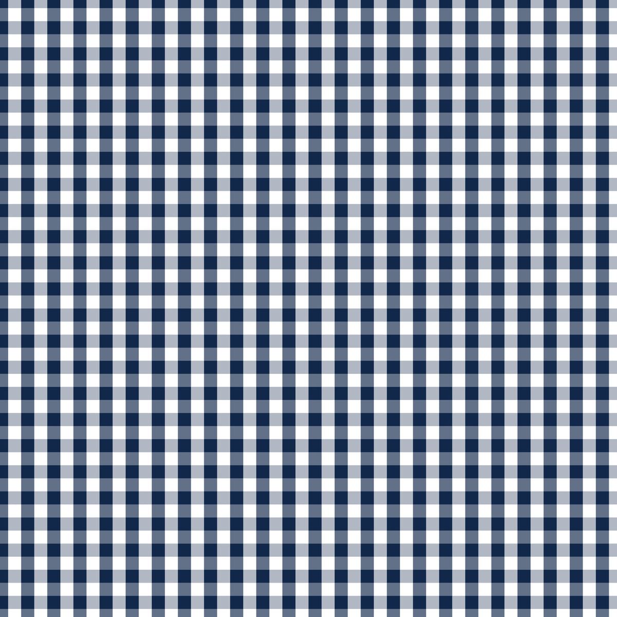 Devonstone Fundamentals 1/4" Check Gambier Blue