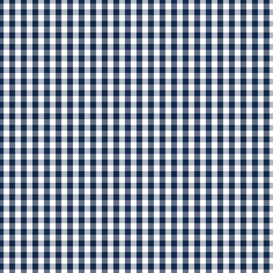 Devonstone Fundamentals 1/4" Check Gambier Blue