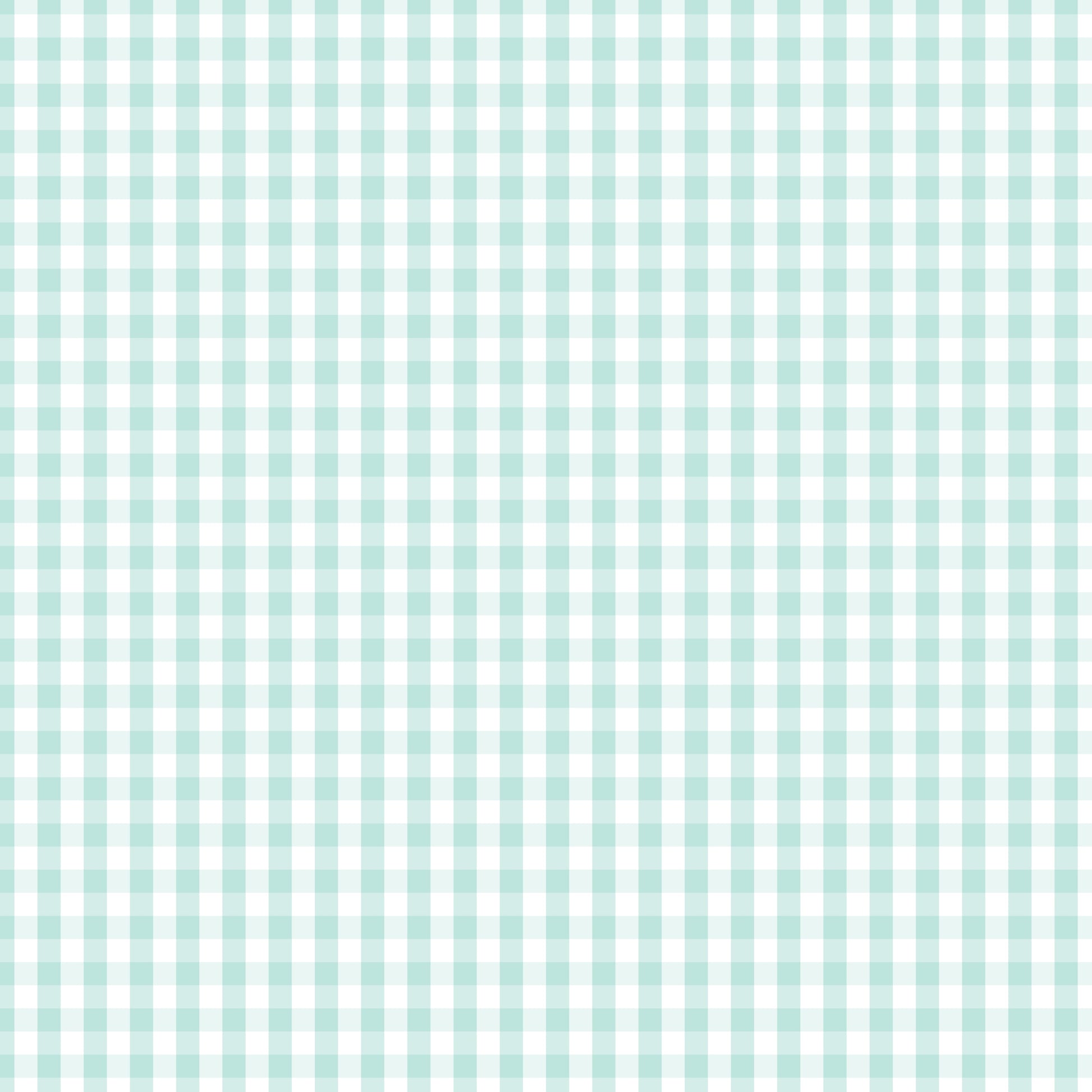 Devonstone Fundamentals 1/4" Check Seafoam