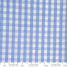 Devonstone Collection 1/4 inch woven gingham in Light Blue (DV2905) fabric swatch