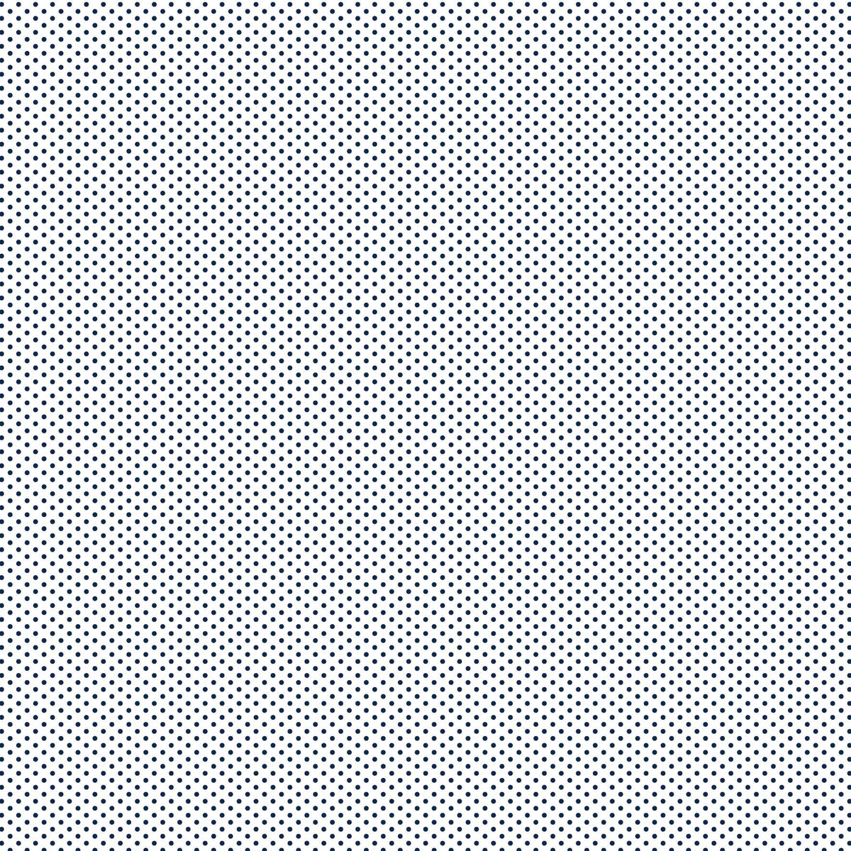 Devonstone Fundamentals 1/16" Spot Gambier Blue