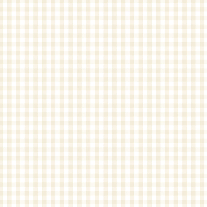 Devonstone- Fundamentals 1/4 check in Natural/Cream | Devonstone Check ...
