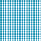 Devonstone Fundamentals 1/4" Check blender in Summer Bay (DV3011) fabric swatch