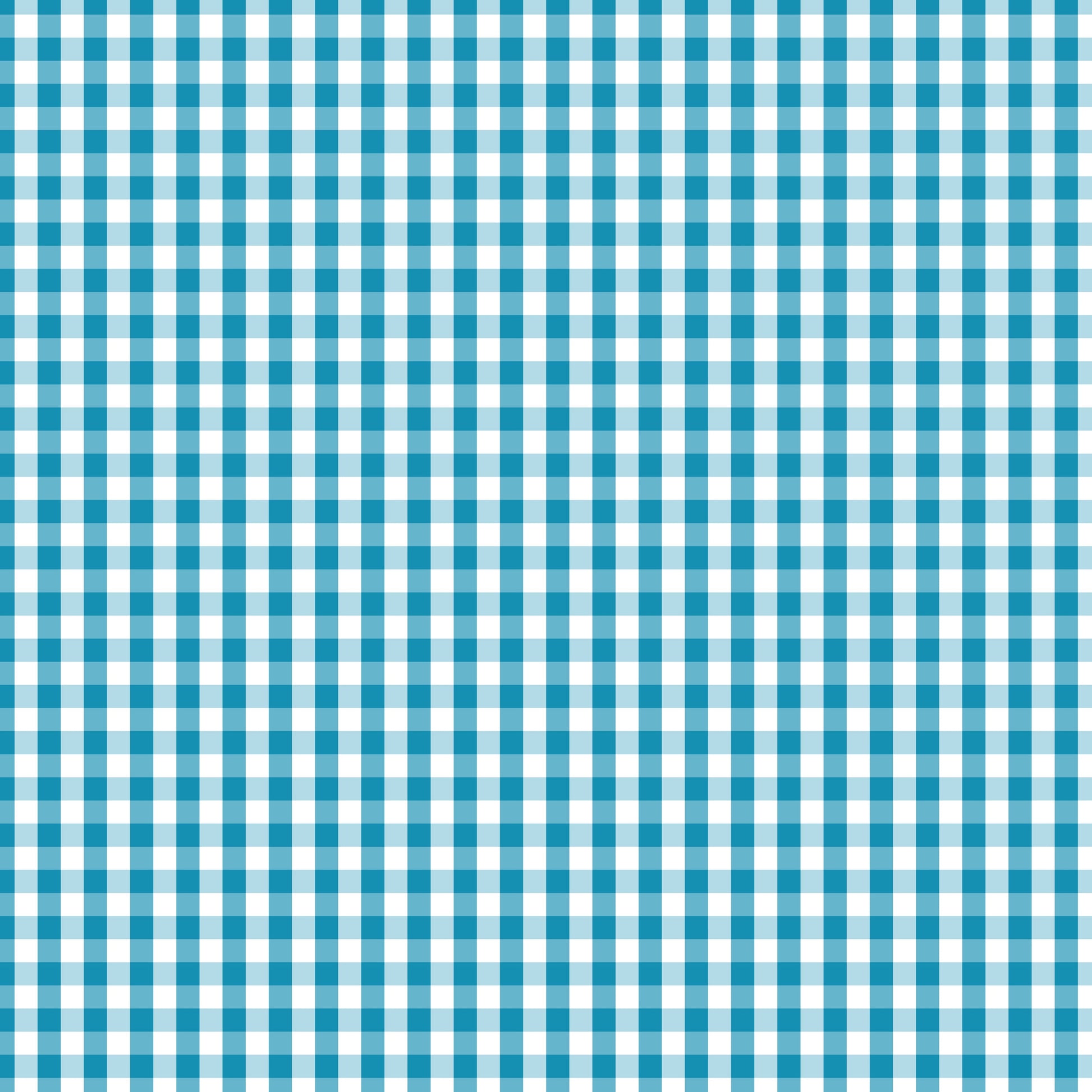 Devonstone Fundamentals 1/4" Check blender in Summer Bay (DV3011) fabric swatch