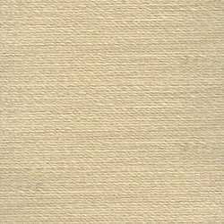 Rasant 120 Thread 1000m in Taupe (0372)