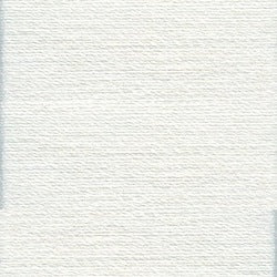 Rasant 120 Thread 1000m in Light Grey (0411)
