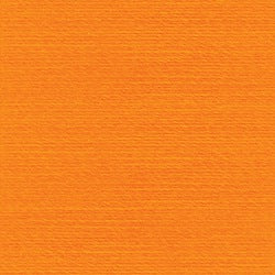 Rasant 120 Thread 1000m in Orange (X2260)
