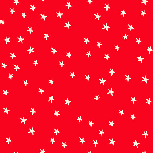 Starry – Ladybug – Ruby Star Society (RS4109 74)