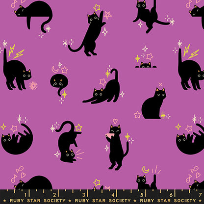 Freaky Familiars – Catwalk – Witchy – Ruby Star Society (RS5193 13)