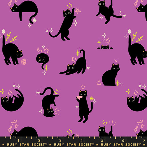 Freaky Familiars – Catwalk – Witchy – Ruby Star Society (RS5193 13)