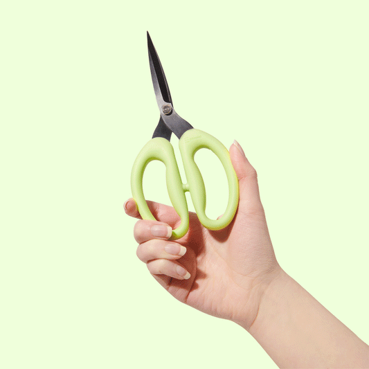 SOHMO - Go-To scissors - Large 8"